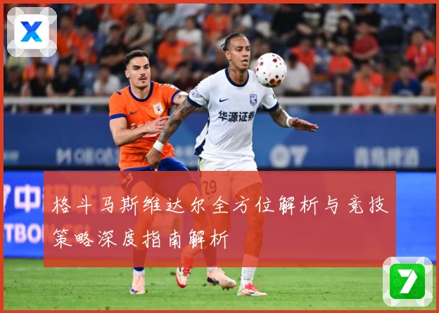 格斗马斯维达尔全方位解析与竞技策略深度指南解析