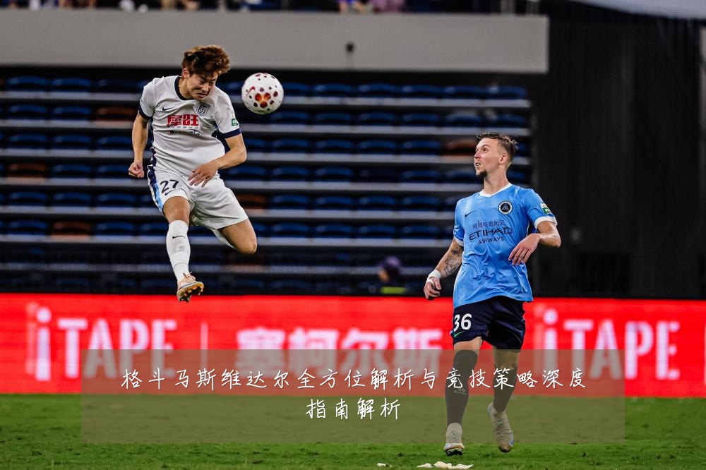 格斗马斯维达尔全方位解析与竞技策略深度指南解析