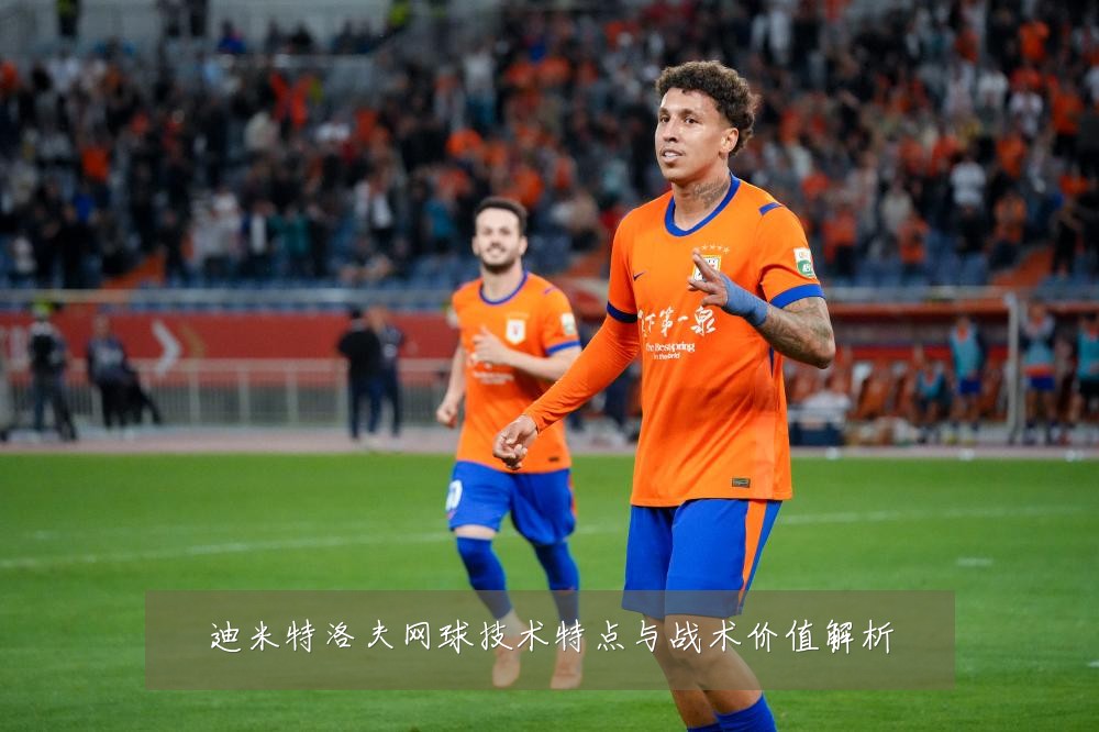 迪米特洛夫网球技术特点与战术价值解析